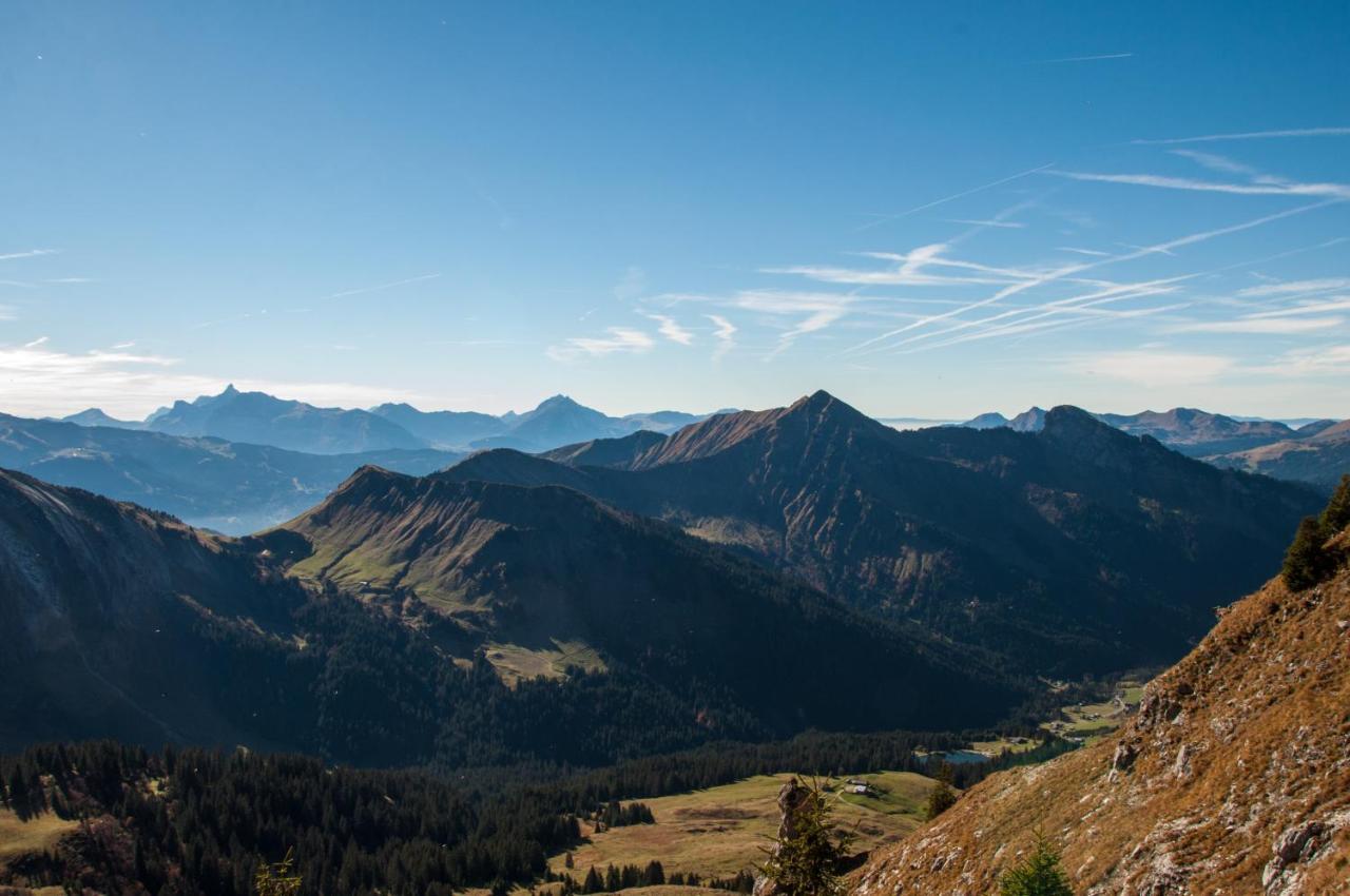 Chalet Sur Les Monts Morzine Montriond Ngoại thất bức ảnh